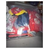 Philadelphia Phillies Memorabilia Lot