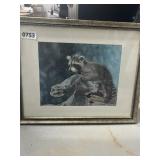 Charles Frace Signed Raccoon Print 15x12" Framed