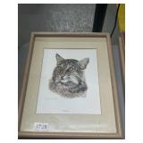 Charles Frace Bobcat Print Framed 12x15"