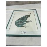Lawrence Snyder Astral frog framed print