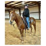 Maverick - 6 YO Sorrel Gelding