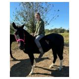 10 YO Black & White Spotted Gaited Mare