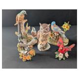 Scissortail, Bluebird, Owl, Chickadees, Cardinal