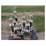 Vintage Fishing Trophies