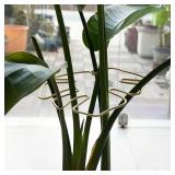 1Pc Large hanging plant stand, iron hooks,...