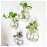 2 Pcs Wall Hanging Glass Terrarium -...