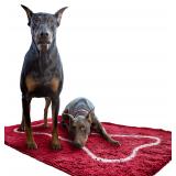 $93 Soggy Doggy Dog Door Mat   Extra-Large Absorbe