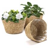 $30 Athaliah Woven Plant Basket Set of 3 with Plas