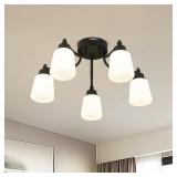 $120 kudos 5-Light Black Ceiling Light Fixture, 22