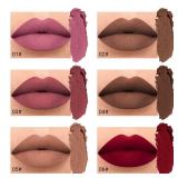 $10 evpct 6Pcs Dark Light Nude Brown Matte Matt Li