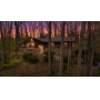 Private Wooded Home, With Four-Season Room, Fireplace & Finished Lower Level