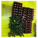 Coca-Cola Classic Glass Bottle Lot