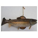 Taxidermy Trout Fish Mount
