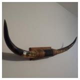 Mounted Horns