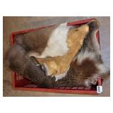 Deer Hide w Plastic Holder