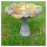 Bird Bath