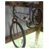 Raodmaster 10 Speed Womens Bike