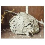 Hornet Nest