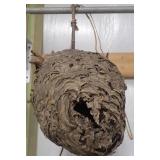 Hornet Nest