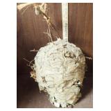 Hornet Nest