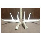 Antlers