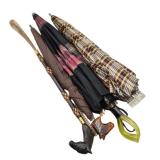 Parasol Trio & Carved Handle Shoe Horn