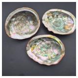 Large Natural Abolone Shell Trio