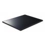 Frontier 130W Thin-Film Solar Modules