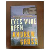 Eyes Wide Open by Andrew Gross