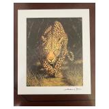 Andrew Bone African Mystique 2015...