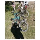 2 adult bikes