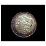 1896 Morgan Purple Rim Toning
