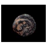 200 BC Ancient Greek Bronze Coin Rams Head