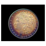 1896 Morgan Wonderful Color