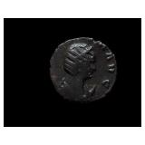 Nice UNC Ancient Roman Coin Animal Rev