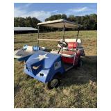 Dallas Cowboys golf cart