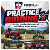 PRACTICE BIDDING -