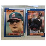 TWO VINTAGE BASEBALL TRADING CARDS / SHIPS