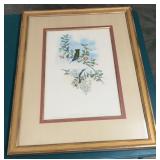 32" X 24" John Gould Hummingbird Lithograph