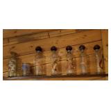 Shelf Contents