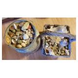 Seashells