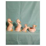 Duck Family