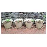 Planter Pots