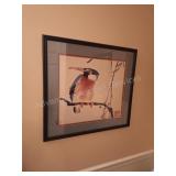 Bird Art