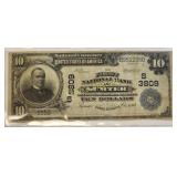 rare 1907 first national bank of Sumter SC $10 lae