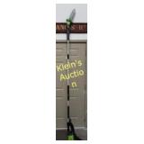 80 volt 10" cordless polesaw w/chain Greenworks