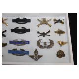 #810 810 close up, German cap skull