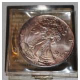 1993 American Eagle silver dollar