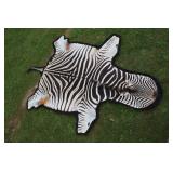 #916 Nice African Zebra Skin Rug 