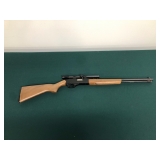 Winchester 22 L or LR Model 190 Winchester 22 L or LR Model 190
